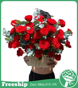 Giỏ Hoa Chúc Mừng Vạn Điều May - Mã: DHT-156 - Giá: 500.000đ