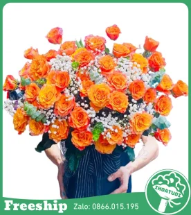 Giỏ Hoa Chúc Mừng Phát Triển Bền Vững - Mã: DHT-174 - Giá: 750.000đ