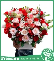 Giỏ Hoa Chúc Mừng Tone Đỏ Kem