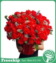 Giỏ Hoa Chúc Mừng Vạn Sự Han Thông