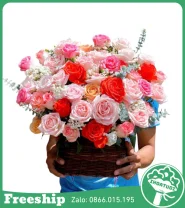 Lẵng Hoa Mừng Dễ Thương